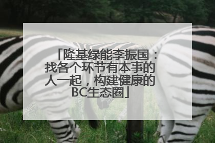 隆基绿能李振国：找各个环节有本事的人一起，构建健康的BC生态圈