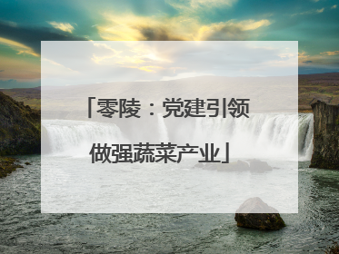 零陵：党建引领 做强蔬菜产业