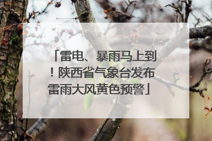 雷电、暴雨马上到！陕西省气象台发布雷雨大风黄色预警