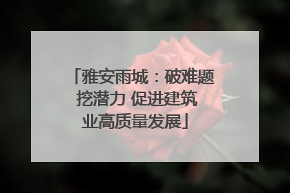 雅安雨城：破难题 挖潜力 促进建筑业高质量发展
