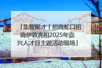 集智聚才丨招商蛇口招商伊敦亮相2025年嘉兴人才日主题活动现场