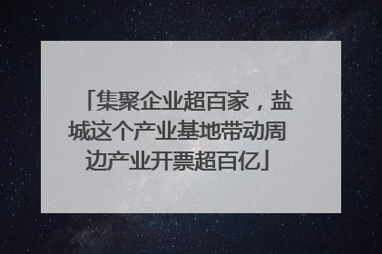 集聚企业超百家，盐城这个产业基地带动周边产业开票超百亿