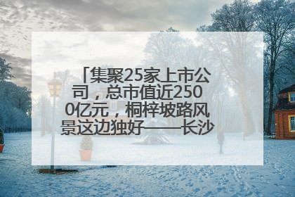 集聚25家上市公司，总市值近2500亿元，桐梓坡路风景这边独好——长沙有条“上市路”