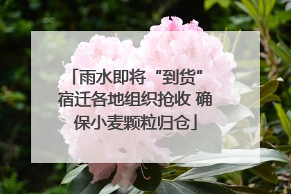雨水即将“到货” 宿迁各地组织抢收 确保小麦颗粒归仓