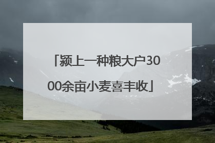 颍上一种粮大户3000余亩小麦喜丰收