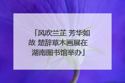 风吹兰芷 芳华如故 楚辞草木画展在湖南图书馆举办