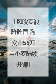 风吹麦浪阵阵香 海安市55万亩小麦陆续开镰