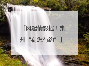 风起倩影摇！荆州“荷您有约”