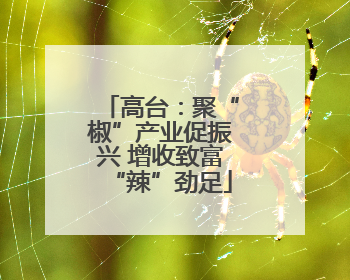 高台：聚“椒”产业促振兴 增收致富“辣”劲足