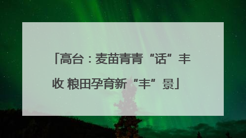 高台：麦苗青青“话”丰收 粮田孕育新“丰”景