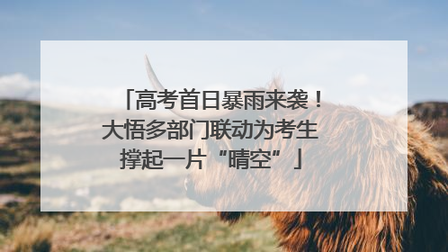 高考首日暴雨来袭！大悟多部门联动为考生撑起一片“晴空”