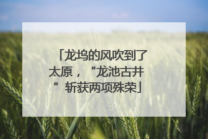 龙坞的风吹到了太原，“龙池古井”斩获两项殊荣