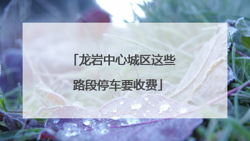 龙岩中心城区这些路段停车要收费
