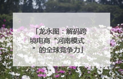 龙永图：解码跨境电商“河南模式”的全球竞争力