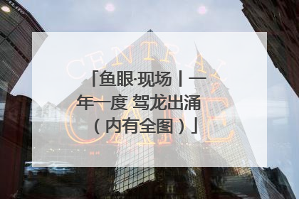 鱼眼·现场丨一年一度 驾龙出涌（内有全图）