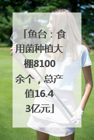 鱼台：食用菌种植大棚8100余个，总产值16.43亿元