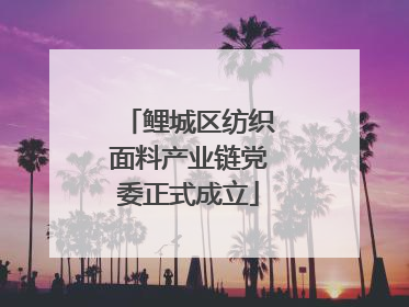鲤城区纺织面料产业链党委正式成立