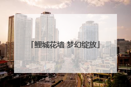 鲤城花墙 梦幻绽放