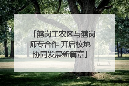 鹤岗工农区与鹤岗师专合作 开启校地协同发展新篇章