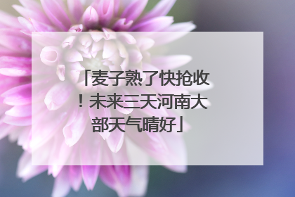 麦子熟了快抢收！未来三天河南大部天气晴好
