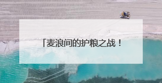 麦浪间的护粮之战！河南封丘上演农机手减损技能巅峰对决