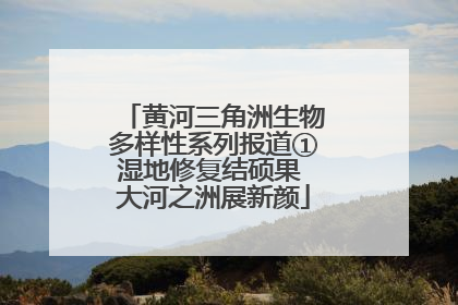 黄河三角洲生物多样性系列报道①湿地修复结硕果 大河之洲展新颜