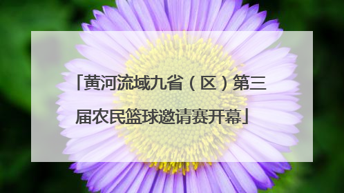 黄河流域九省（区）第三届农民篮球邀请赛开幕