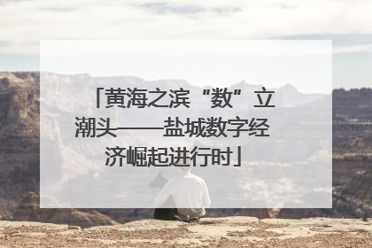 黄海之滨“数”立潮头——盐城数字经济崛起进行时