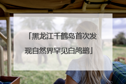 黑龙江千鹤岛首次发现自然界罕见白鸬鹚