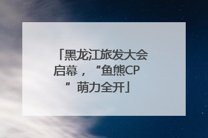 黑龙江旅发大会启幕，“鱼熊CP”萌力全开