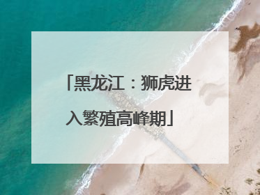 黑龙江：狮虎进入繁殖高峰期