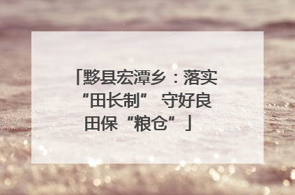 黟县宏潭乡：落实“田长制” 守好良田保“粮仓”