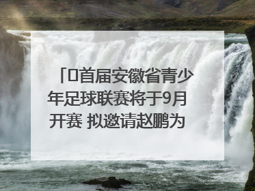 ﻿首届安徽省青少年足球联赛将于9月开赛 拟邀请赵鹏为先导赛开球