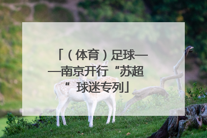 （体育）足球——南京开行“苏超”球迷专列