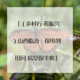 （乡村行·看振兴）山西临汾：保电到田间 抗旱保丰收