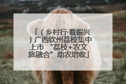 （乡村行·看振兴）广西钦州荔枝集中上市 “荔枝+农文旅融合”助农增收