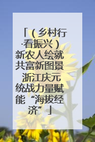 （乡村行·看振兴）新农人绘就共富新图景 浙江庆元统战力量赋能“海拔经济”