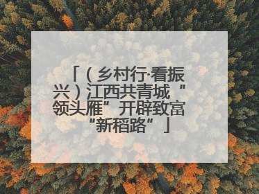 （乡村行·看振兴）江西共青城“领头雁”开辟致富“新稻路”