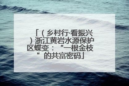 （乡村行·看振兴）浙江黄岩水源保护区蝶变：“一根金枝”的共富密码