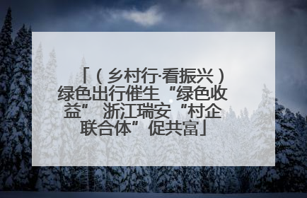 （乡村行·看振兴）绿色出行催生“绿色收益” 浙江瑞安“村企联合体”促共富