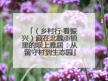 （乡村行·看振兴）藏在北魏重镇里的坝上雅居：从留守村到生态园