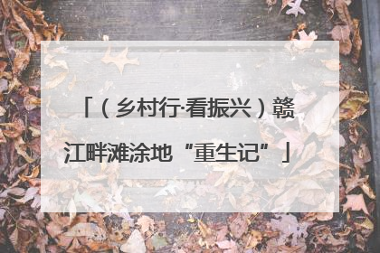 （乡村行·看振兴）赣江畔滩涂地“重生记”