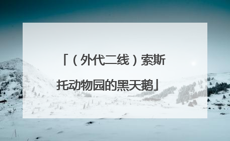 （外代二线）索斯托动物园的黑天鹅