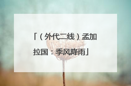 （外代二线）孟加拉国：季风降雨