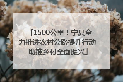 1500公里！宁夏全力推进农村公路提升行动 助推乡村全面振兴