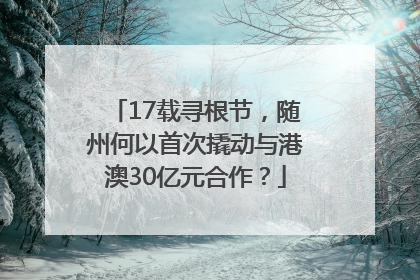 17载寻根节，随州何以首次撬动与港澳30亿元合作？