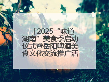 2025“味道湖南”美食季启动仪式暨岳阳啤酒美食文化交流推广活动举办