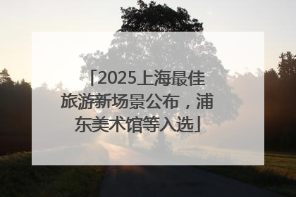 2025上海最佳旅游新场景公布，浦东美术馆等入选