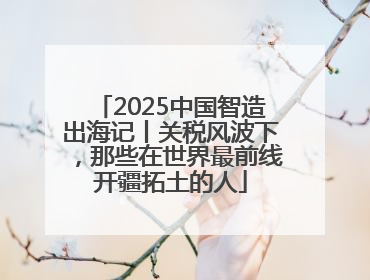 2025中国智造出海记丨关税风波下，那些在世界最前线开疆拓土的人