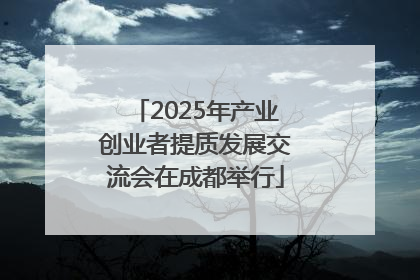 2025年产业创业者提质发展交流会在成都举行